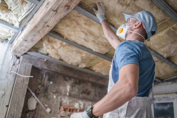 Best Cellulose Insulation in Arnold Line, MS